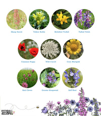 Seedball Wildflower Grab Bags - Wildlife Mix - The Noble Badger Ltd