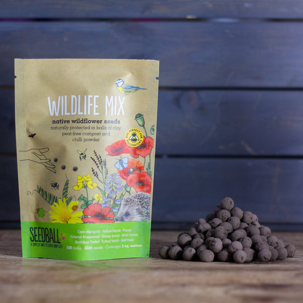 Seedball Wildflower Grab Bags - Wildlife Mix - The Noble Badger - Seed ball - Gift 