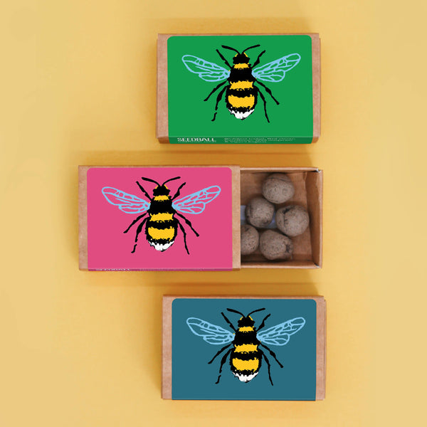 Bee Seedball Wildflower Boxes - The Noble Badger  - gifts - Stocking Fillers - Children's Gifts - Spring Flowers - 