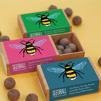 Bee Seedball Wildflower Boxes - The Noble Badger  - gifts - Stocking Fillers - Children's Gifts - Spring Flowers - 