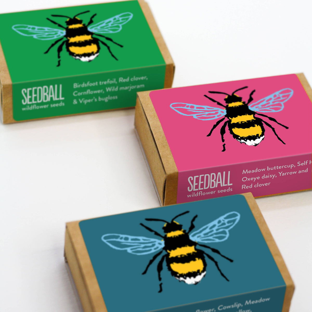 Bee Seedball Wildflower Boxes - The Noble Badger  - gifts - Stocking Fillers - Children's Gifts - Spring Flowers - 