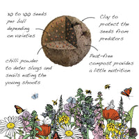 Bee Seedball Wildflower Boxes - The Noble Badger Ltd